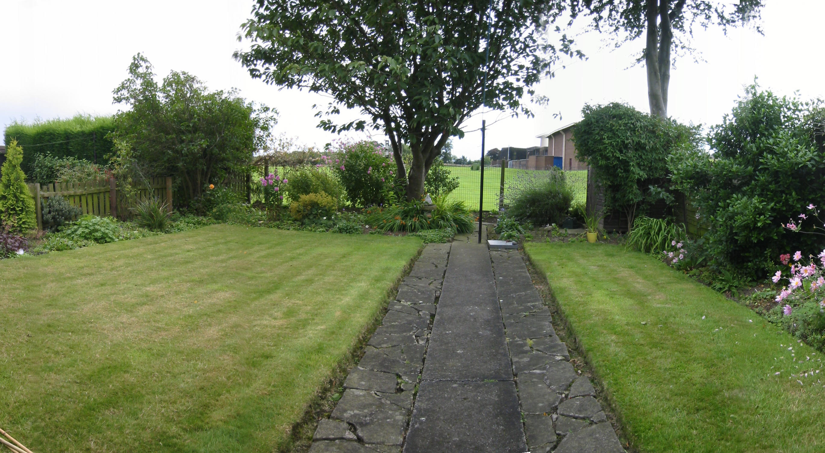 01a Small rear garden - before photo
