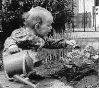 Debbie Davitt aged 2 - the budding gardener